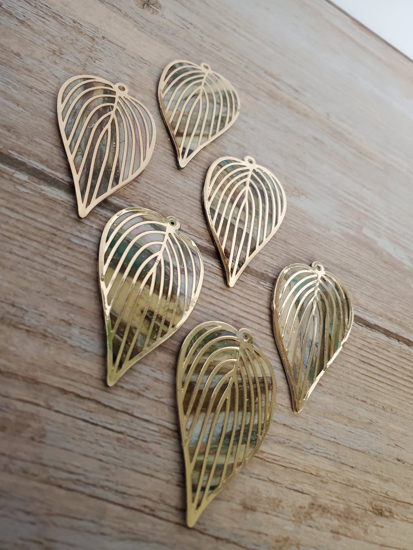 Multi Color Leaf
