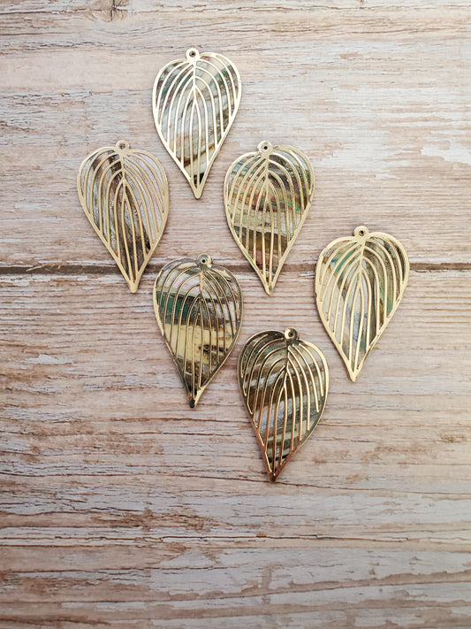 Multi Color Leaf