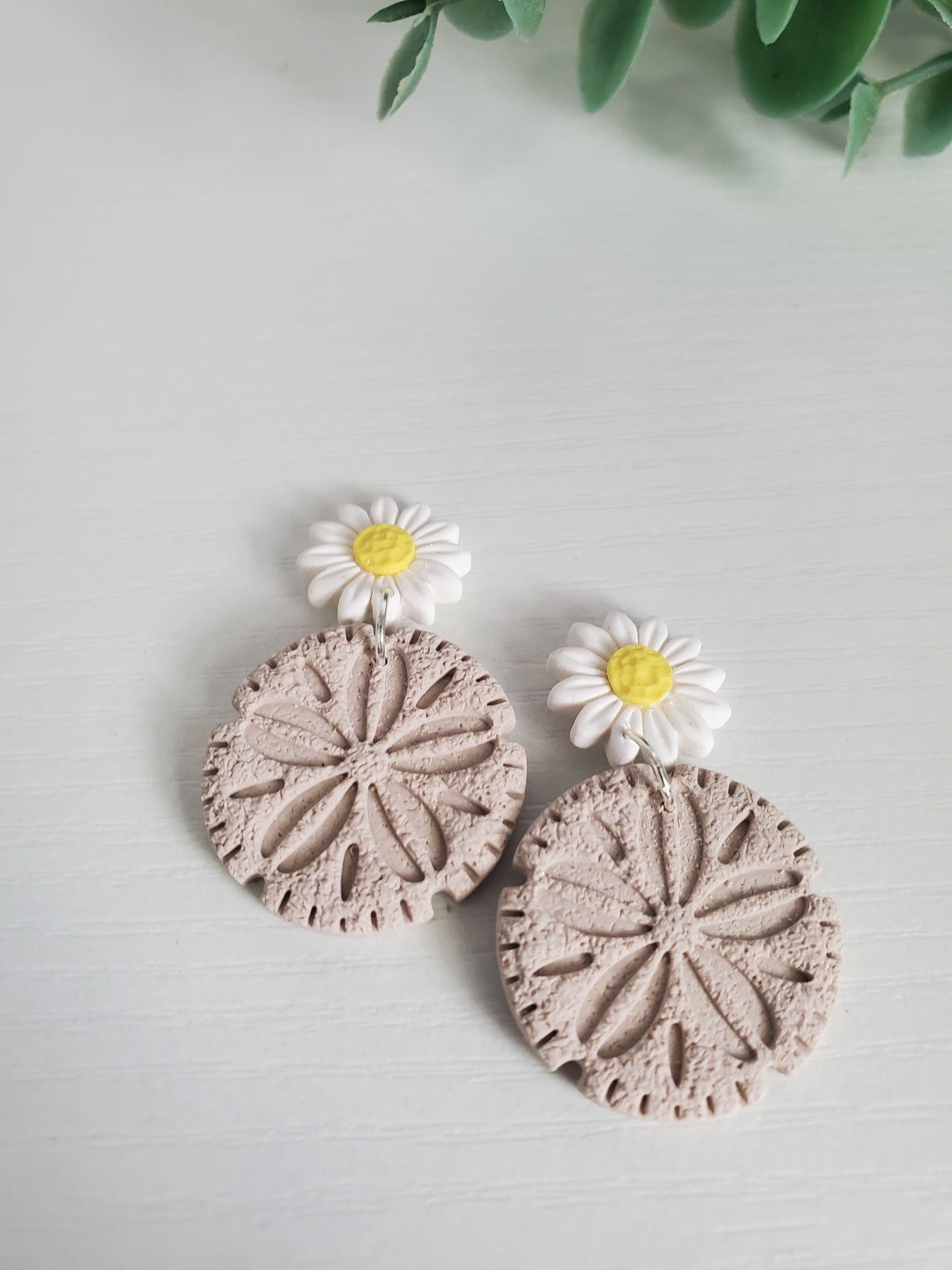 Spring sand dollar