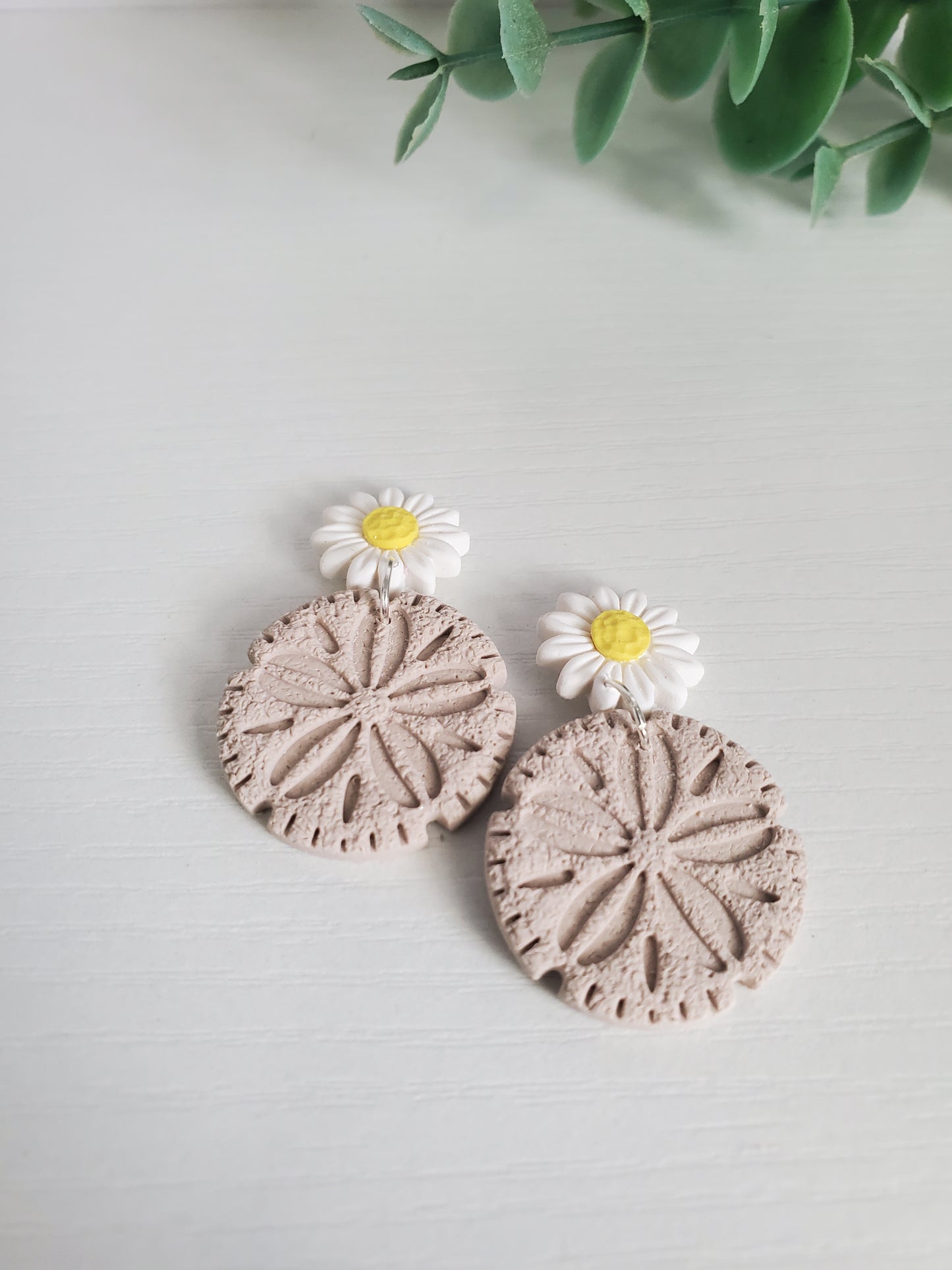 Spring sand dollar