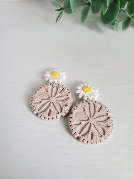 Spring sand dollar